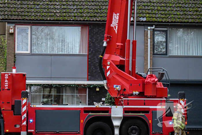 Brandweer assisteert bij kat in de boom