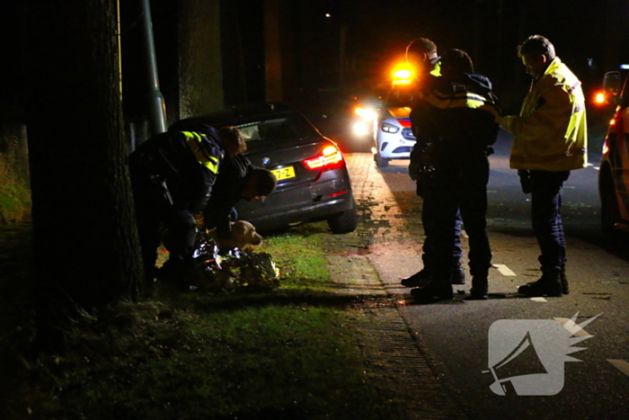 Persoon naar ziekenhuis na eenzijdig ongeval met boom