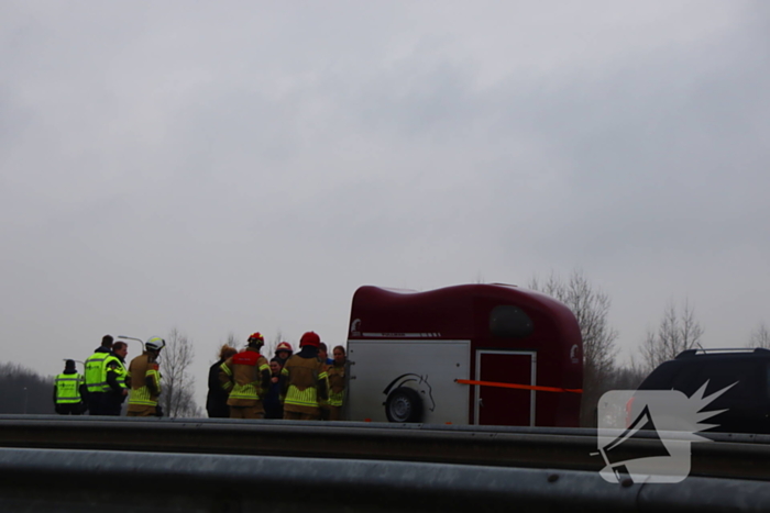 Snelweg afgesloten wegens hulp aan paard