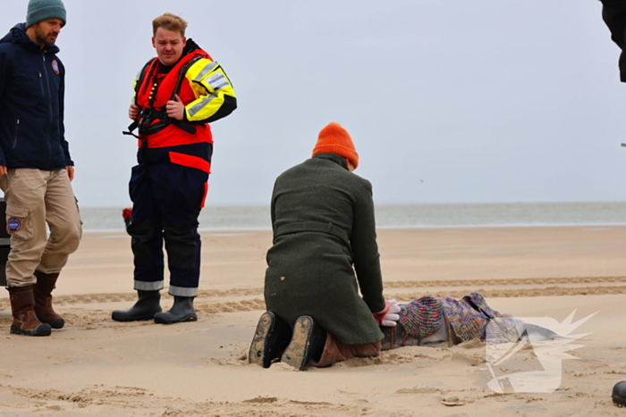 Bruinvis aangespoeld op strand