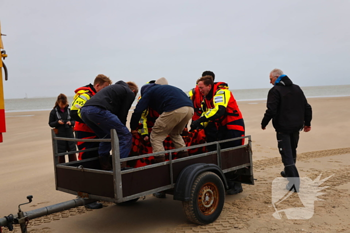 Bruinvis aangespoeld op strand