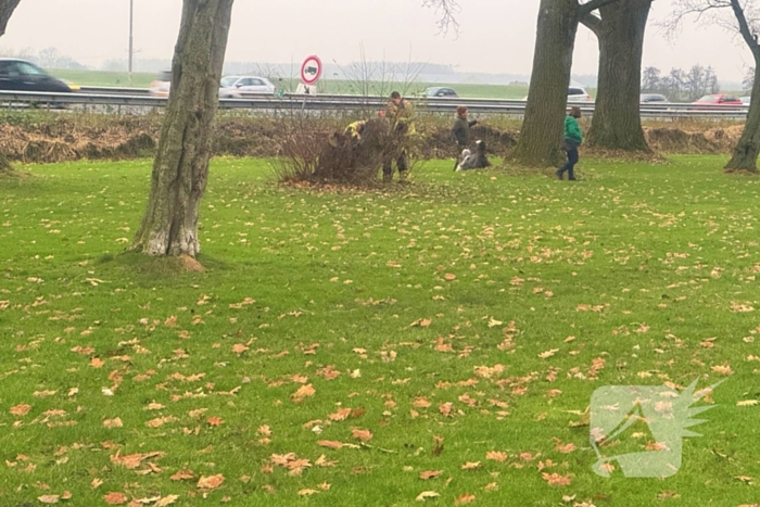 Brandweer ingezet voor brandende boomstronk