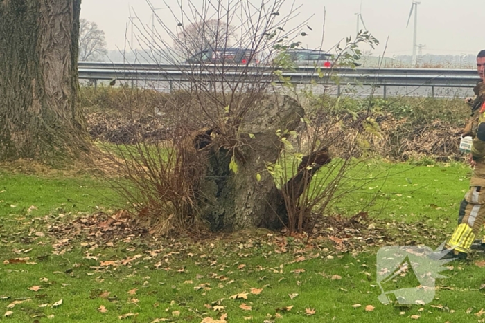 Brandweer ingezet voor brandende boomstronk