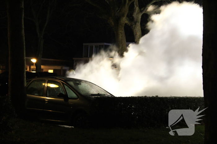 Geparkeerde auto's verwoest door brand