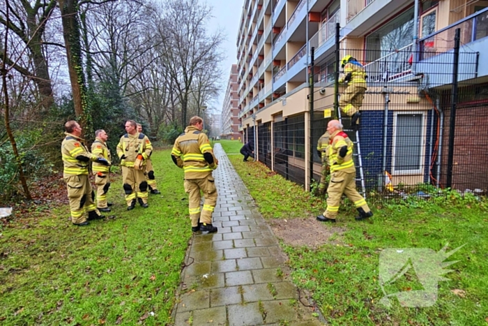 Kat bevrijdt uit benarde positie