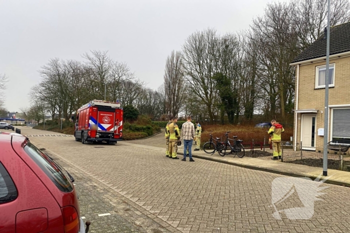 Auto rijdt meters achteruit bosschages in