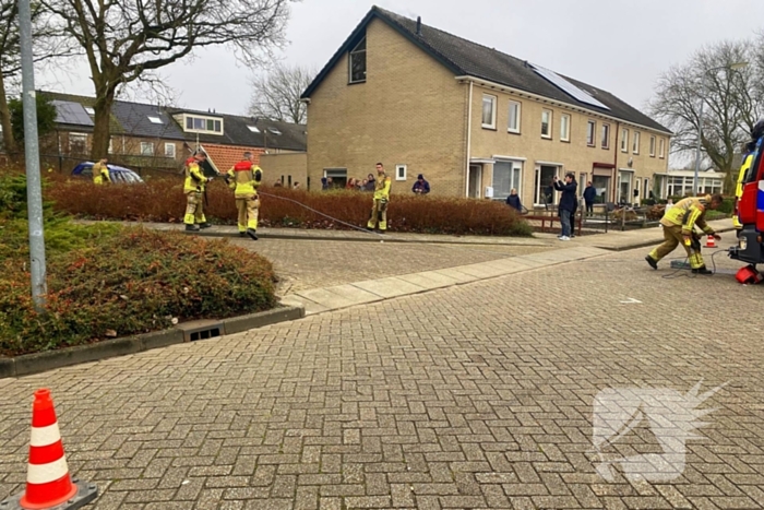 Auto rijdt meters achteruit bosschages in