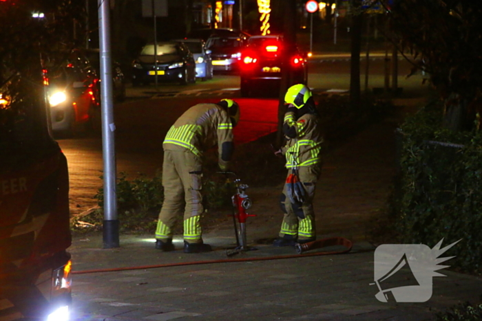 Brandweer blust kerstbomen