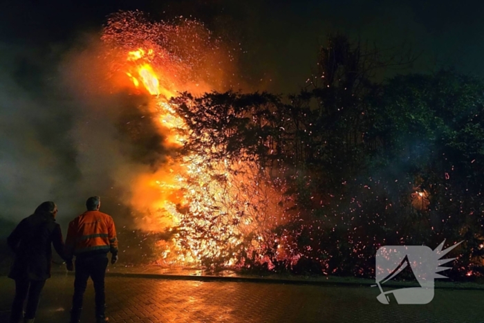 Brandende coniferen haag met tuinslangen geblust