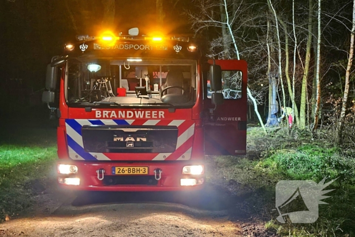 Brandweer zaagt brandende, dode boom om