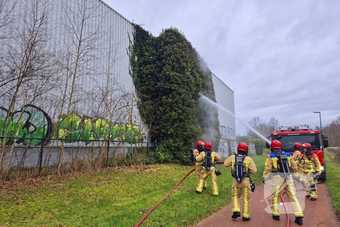 Begroeiing tegen pand in brand