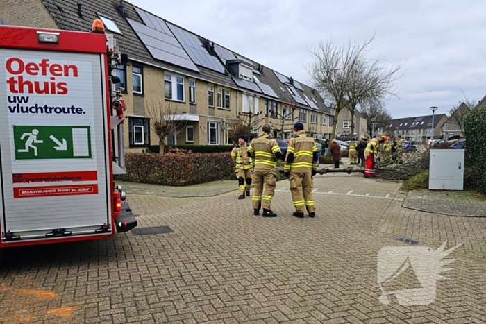 Doorgang woonwijk geblokkeerd door omgewaaide boom