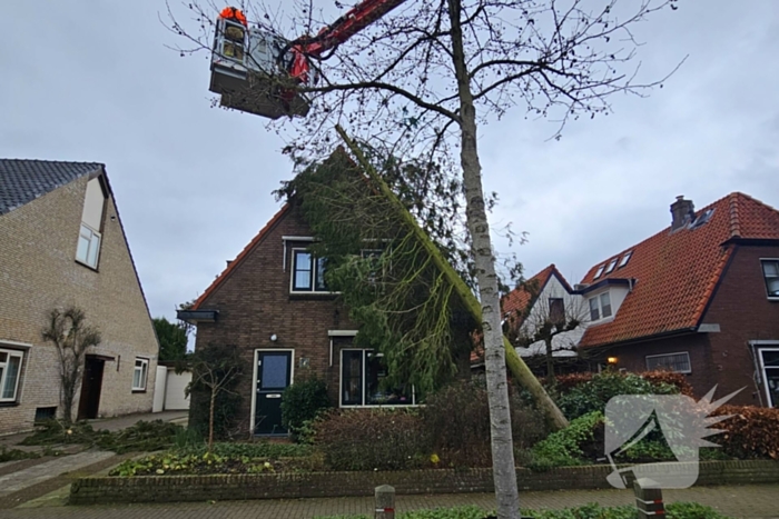 Boom valt tegen woning door harde wind