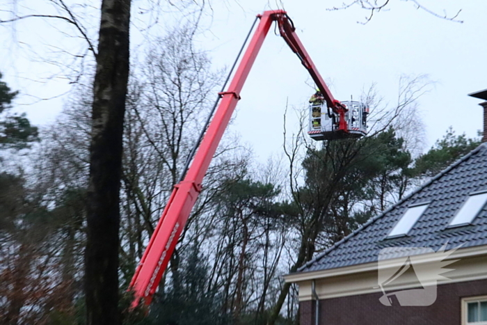 Boom dreigt op woning te vallen