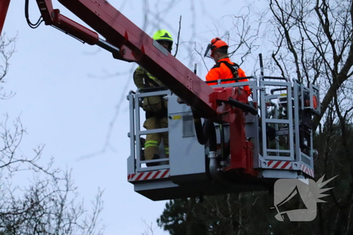 Boom dreigt op woning te vallen