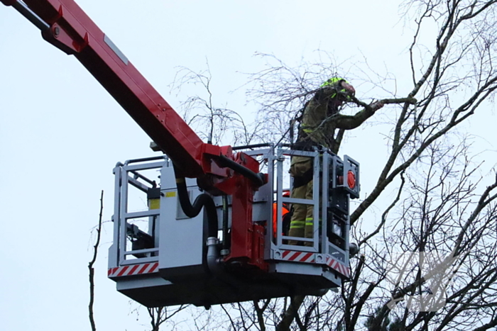 Boom dreigt op woning te vallen