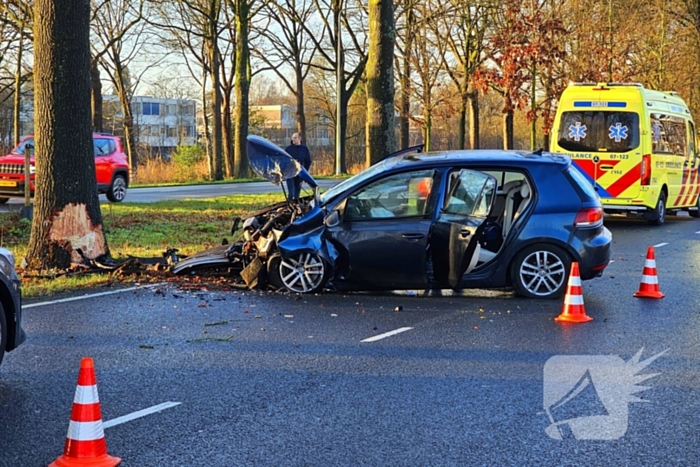 Auto loopt forse schade op na botsing met boom