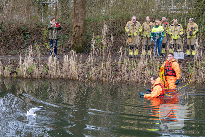 Brandweer bevrijdt vastzittende meeuw