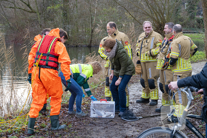 Brandweer bevrijdt vastzittende meeuw