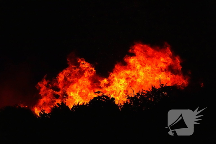 Kerstboom verbranding door brandweer