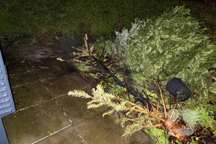 Kerstboom in brand snel geblust