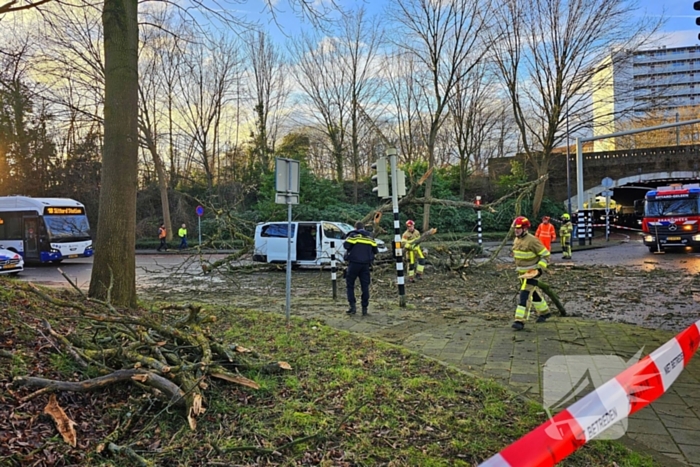 Omgevallen boom beschadigt bestelbus, weg tijdelijk afgesloten