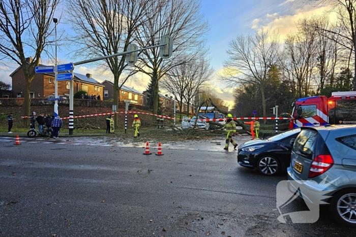 Omgevallen boom beschadigt bestelbus, weg tijdelijk afgesloten