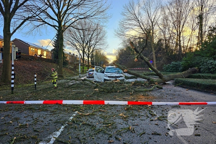 Omgevallen boom beschadigt bestelbus, weg tijdelijk afgesloten