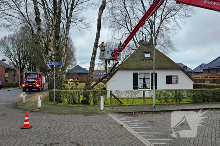 Boom tegen monumentale boerderij