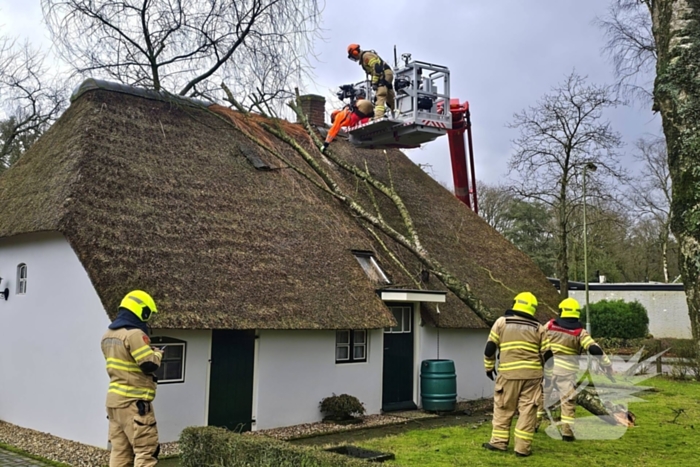 Boom tegen monumentale boerderij