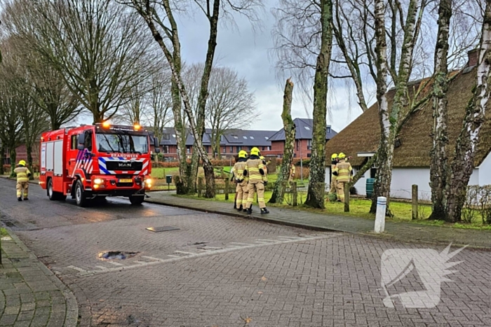 Boom tegen monumentale boerderij