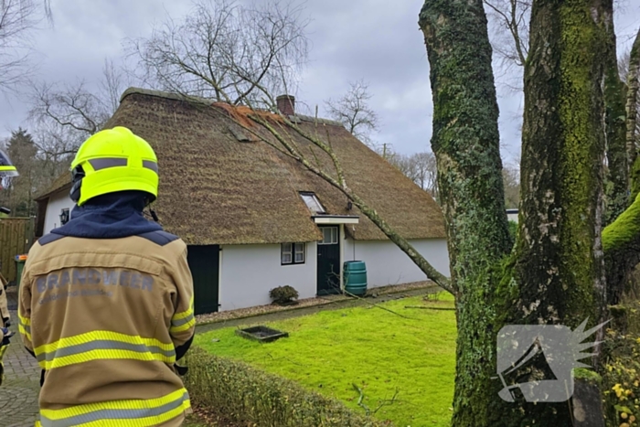 Boom tegen monumentale boerderij