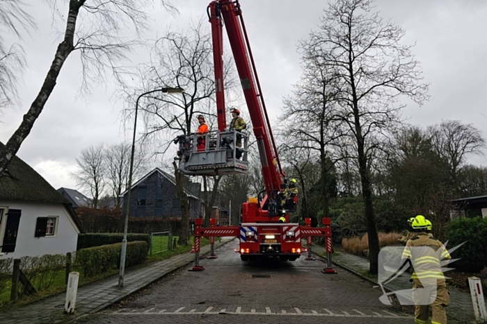 Boom tegen monumentale boerderij