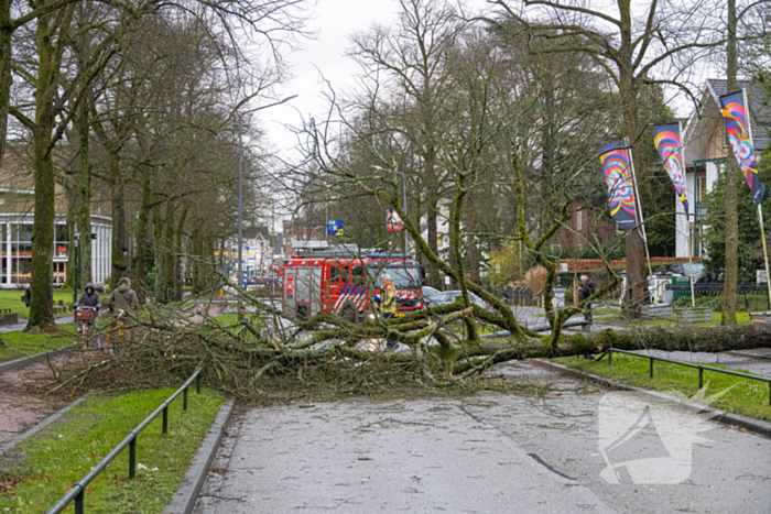 Lantaarnpaal geknakt door omgewaaide boom