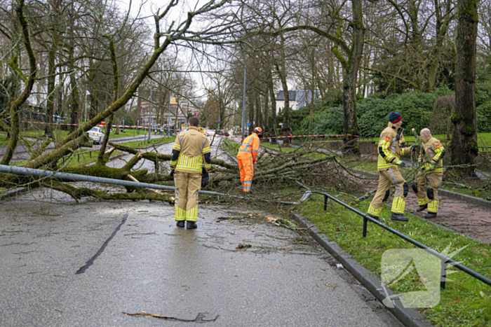 Lantaarnpaal geknakt door omgewaaide boom