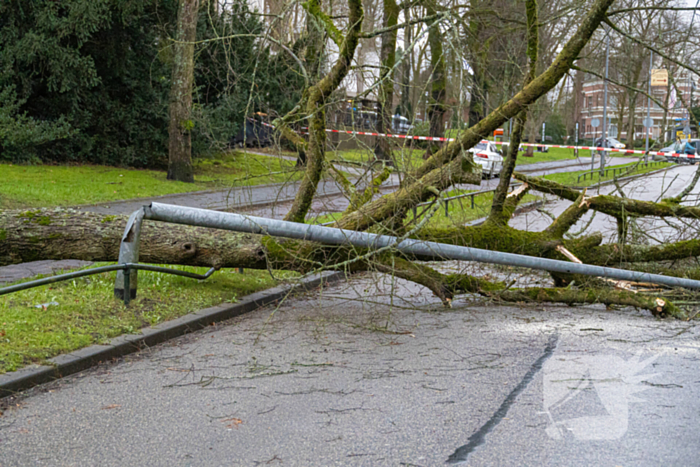 Lantaarnpaal geknakt door omgewaaide boom