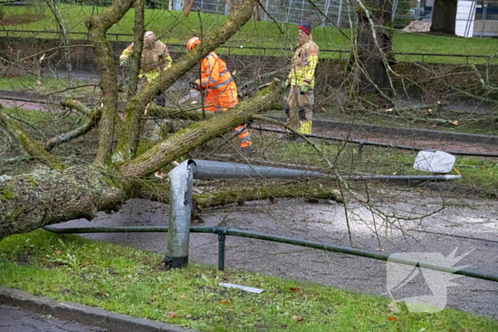 Lantaarnpaal geknakt door omgewaaide boom