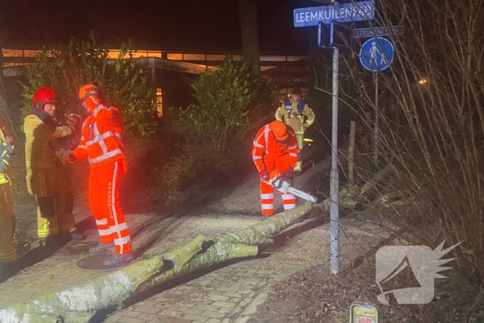 Grote boom blokkeert voetpad