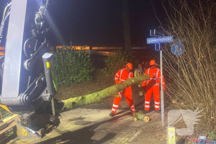 Grote boom blokkeert voetpad