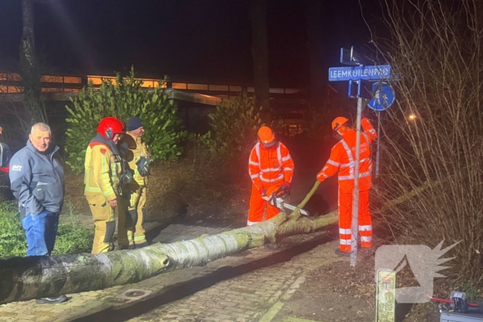 Grote boom blokkeert voetpad