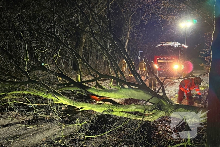 Boom blokkeert weg, brandweer maakt rijbaan vrij