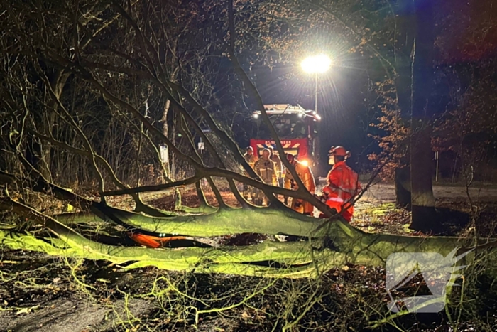 Boom blokkeert weg, brandweer maakt rijbaan vrij