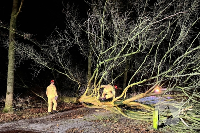 Boom blokkeert weg, brandweer maakt rijbaan vrij