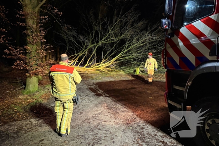 Boom blokkeert weg, brandweer maakt rijbaan vrij