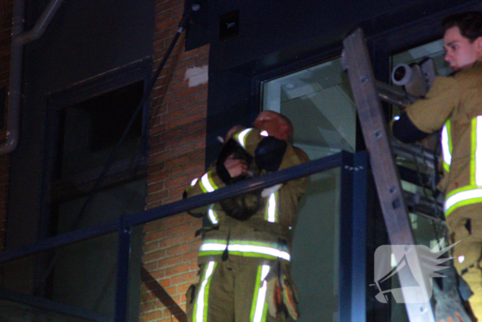 Kat weer herenigd met eigenaar nadat brandweer in actie komt