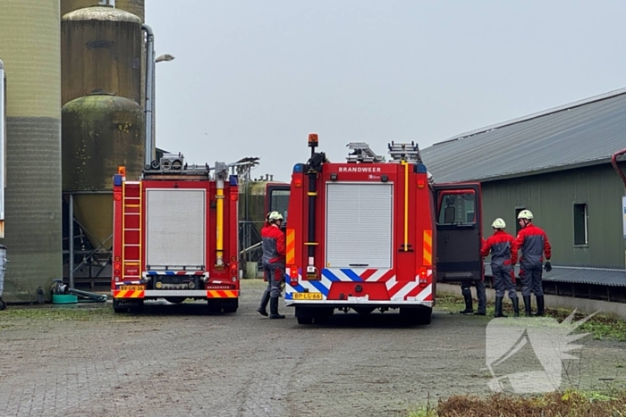 Brandweer ingezet voor dier in nood