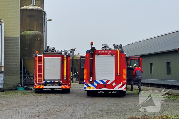 Brandweer ingezet voor dier in nood