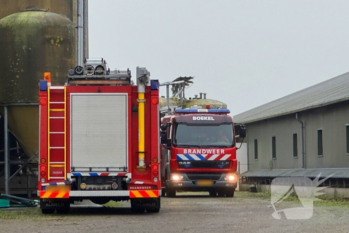 Brandweer ingezet voor dier in nood