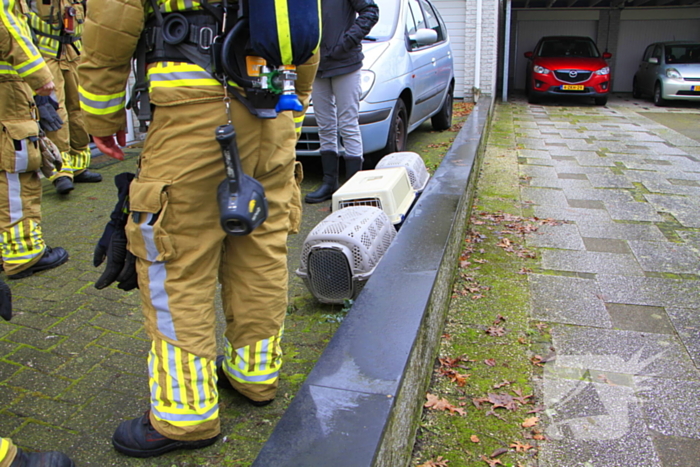 Brandweer haalt drie katten uit woning bij schoorsteenbrand