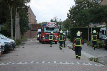 natuur schulpeinde katwijk